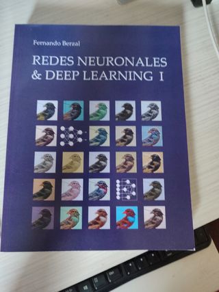Redes Neuronales & Deep Learning - Volumen 1: E...