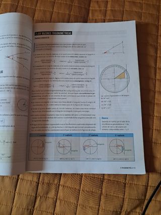 Proyecto: FanFest - Matemáticas 1 Bachillerato