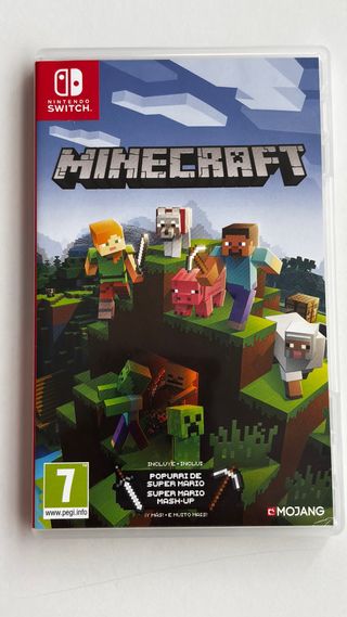 Minecraft Nintendo Switch
