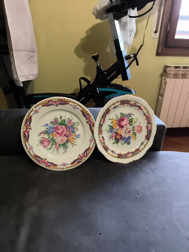 Platos porcelana vintage florales