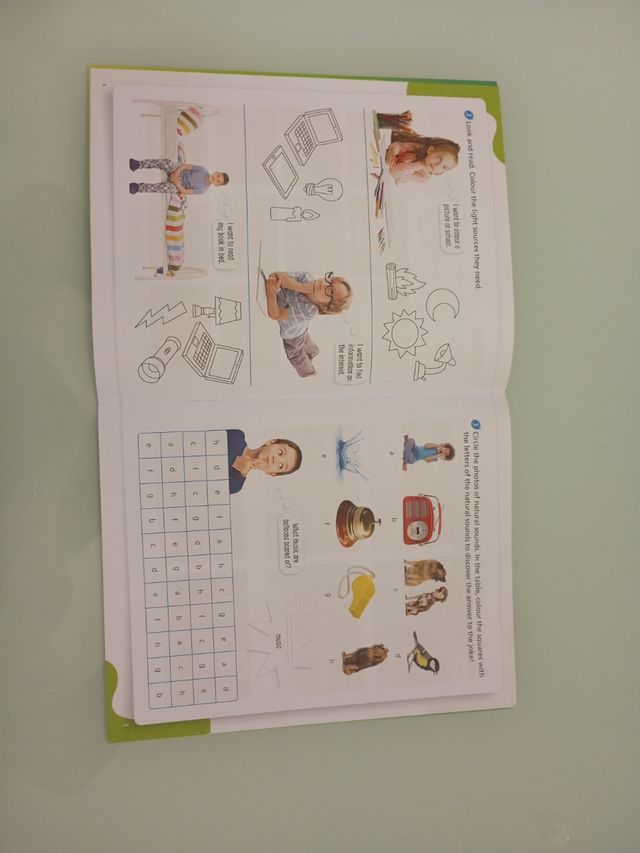 Project Journal, term 2, Science 2 Outside the Box