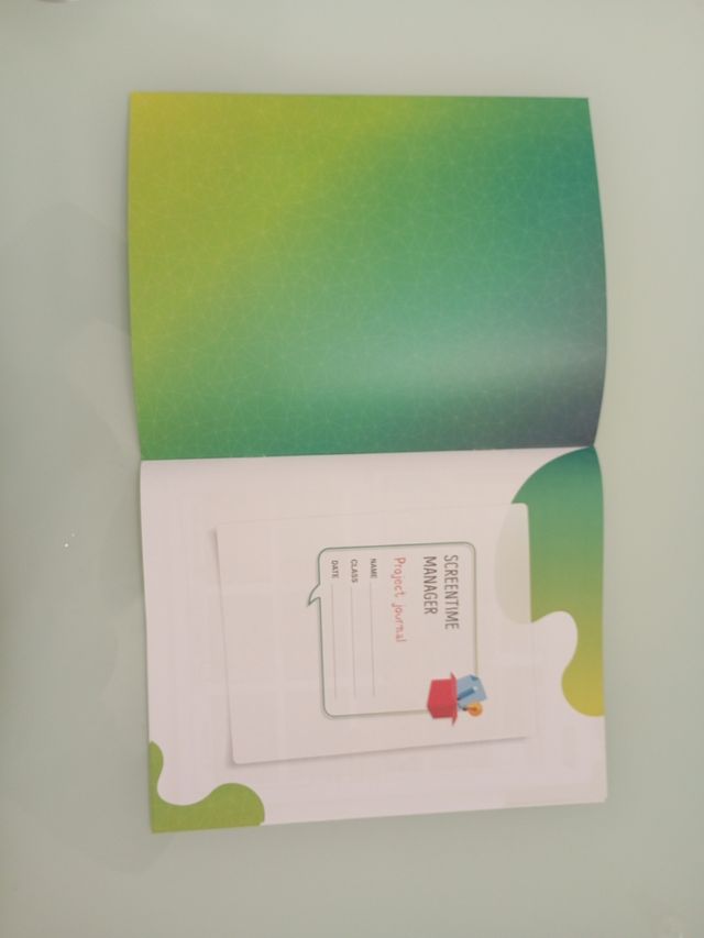 Project Journal, term 2, Science 2 Outside the Box