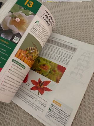 Inicia Biología y Geología 1.º Bachillerato. Li...