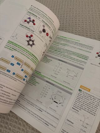 Inicia Biología y Geología 1.º Bachillerato. Li...