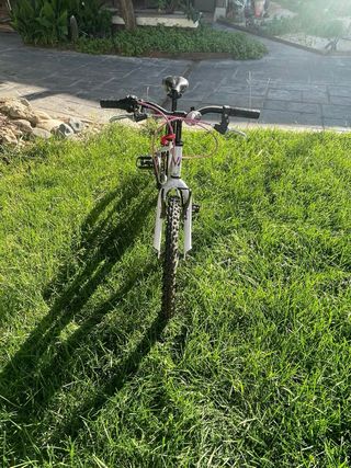 Bicicleta Weed Strong 200 de 20 pulgadas