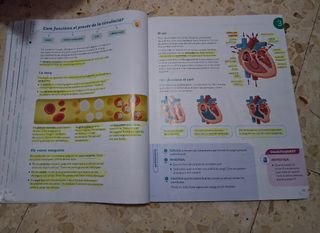 CONEIXEMENT DEL MEDI 5 PRIMARIA CONSTRUINT MONS