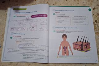 CONEIXEMENT DEL MEDI 5 PRIMARIA CONSTRUINT MONS