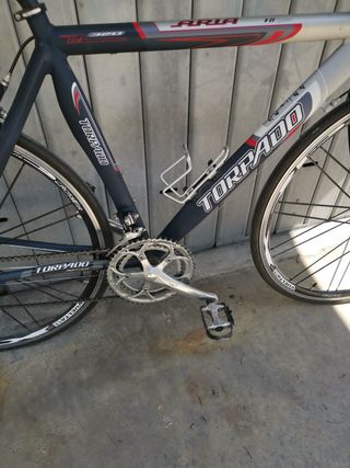 Bicicletta da corsa Torpado ruote26