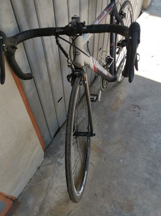 Bicicletta da corsa Torpado ruote26