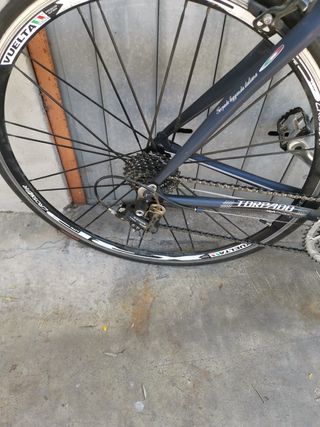 Bicicletta da corsa Torpado ruote26