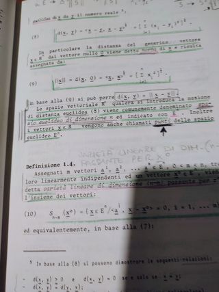 Introduzione all'Ottimizzazione vintage 1989