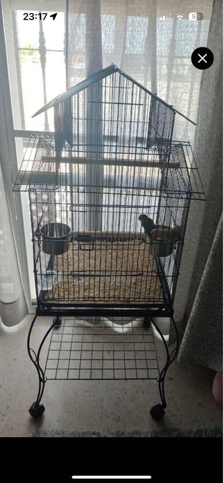 Jaula pajaros venta o cambio