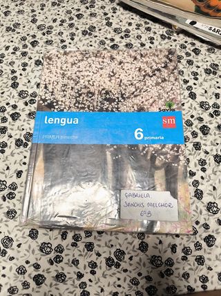 Lengua castellana 6 primaria 