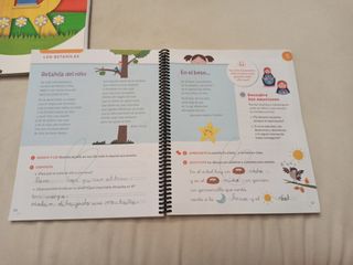 LENGUA CASTELLANA SERIE ACENTOS 2 PRIMARIA CONS...