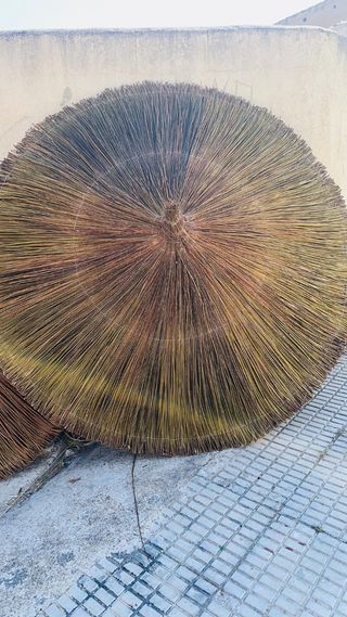 2 Sombrillas Paja - Techo Jardín