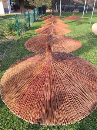 2 Sombrillas Paja - Techo Jardín
