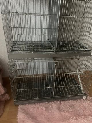 5 jaulas 2 redondas y 3 cudradas
