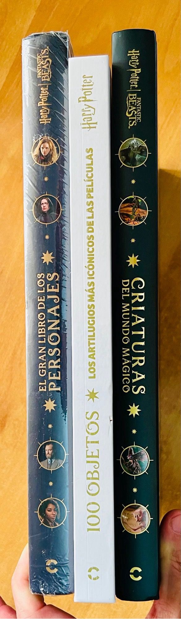 Harry Potter Personajes Criaturas y Objetos 