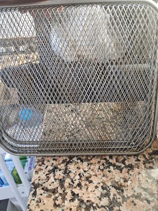 Freidora de aire Ambiano XXL 10,5L