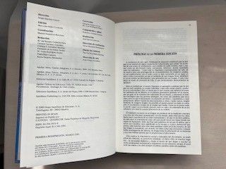 The Oxford Spanish Dictionary 