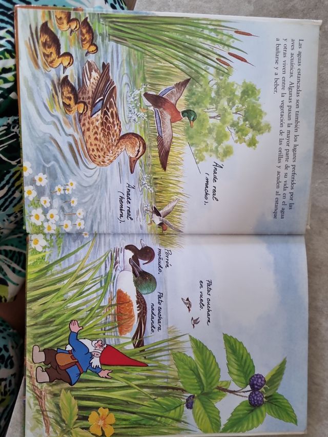 Colección El libro secreto de los Gnomos (24)