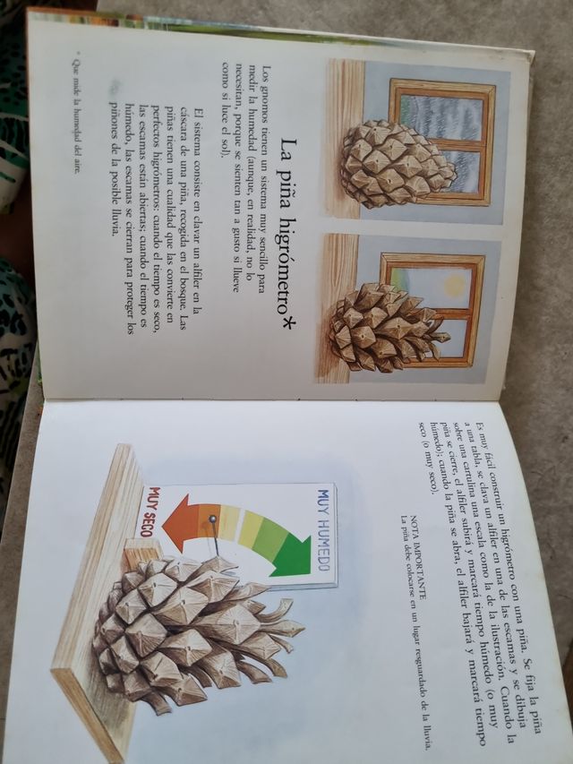 Colección El libro secreto de los Gnomos (24)