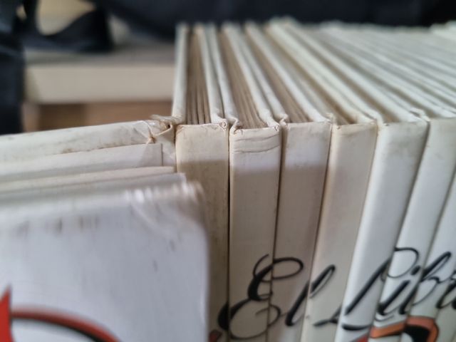 Colección El libro secreto de los Gnomos (24)