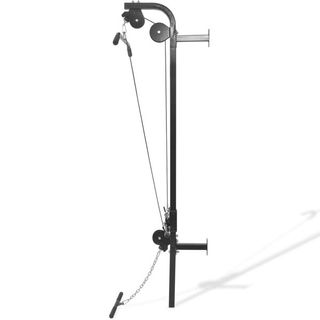 vidaXL Gimnasio en casa de pared con 2 poleas