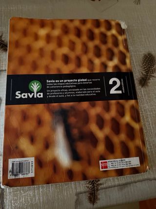 Matemáticas. 2 ESO. Savia