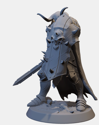 Miniatura Paladino Resina D&D