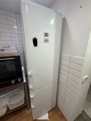 Nevera-congelador Liebherr 