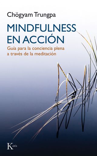 Mindfulness en acción: Guía para la conciencia...
