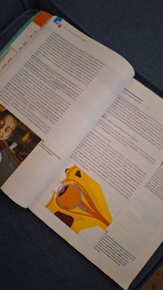 Filosofía, Bachillerato 1