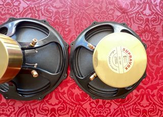 Altavoces SUPRAVOX 285 GMF