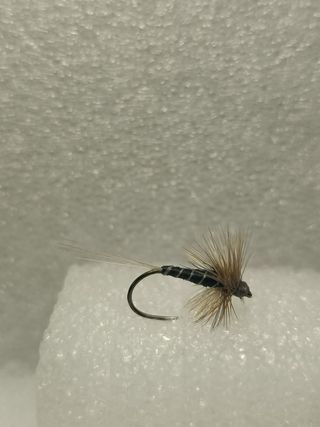 Moscas secas,ninfas y perdigones sin muerte.