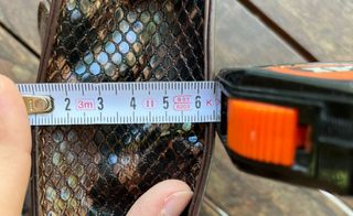 Bolsito Serpiente marrón