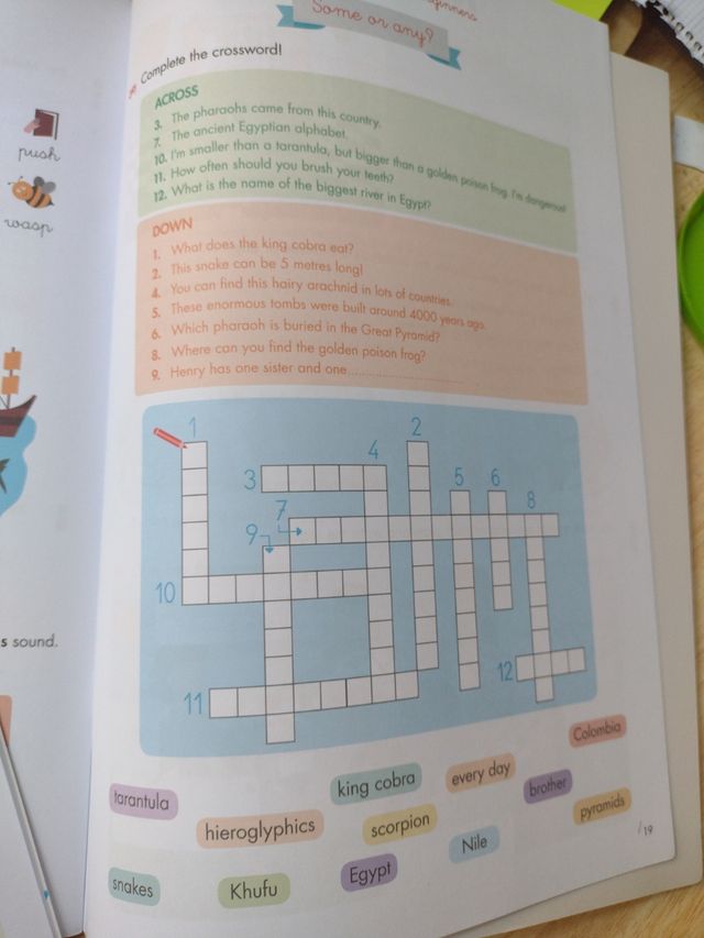 Rubio English 8 years beginners + regalo libro ing