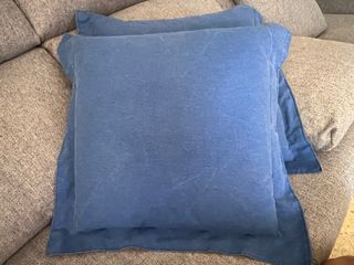 2 Cojines algodón azul