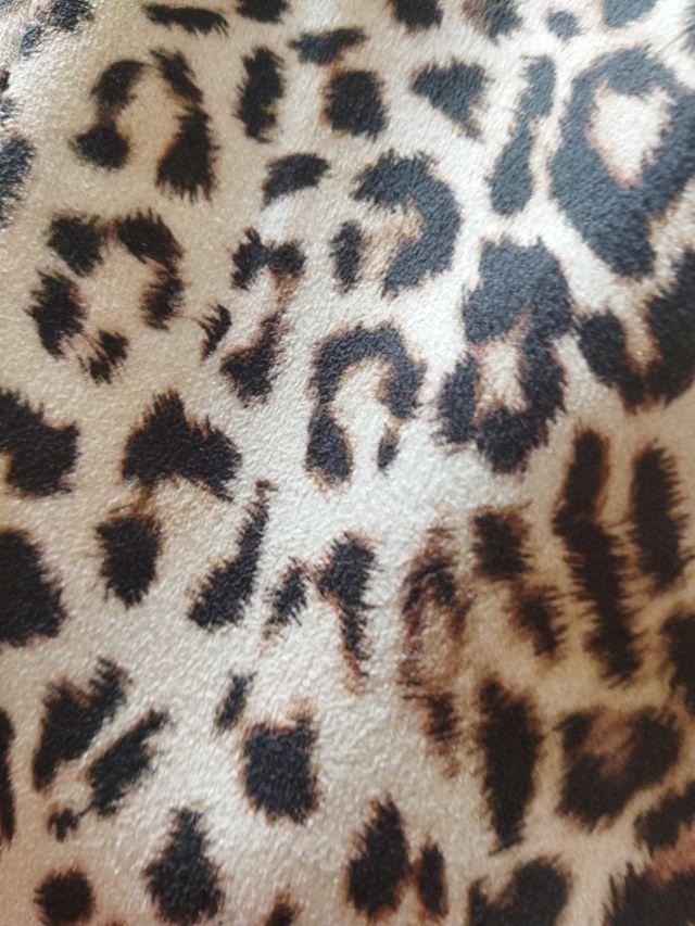 Falda leopardo