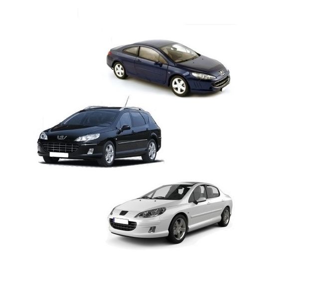 Rótula, Fuelle y Axial Peugeot 407