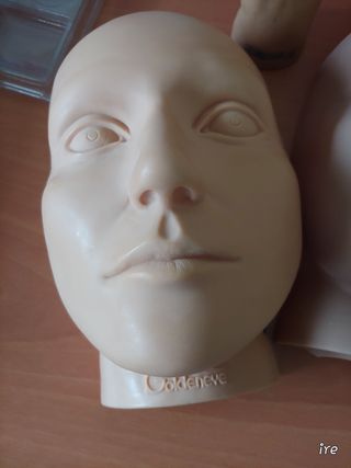 Cabeza Goldeneye practicar micropigmentacion.