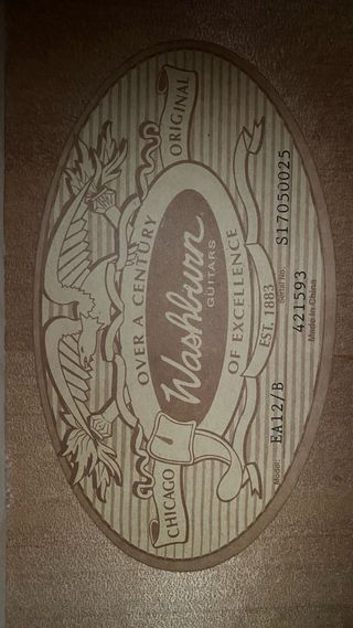 Guitarra electroacústica Washburn EA12