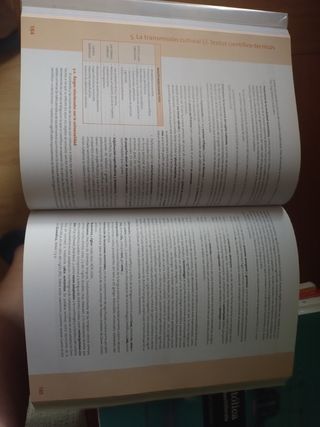 Lengua castellana y literatura, 2 Bachillerato