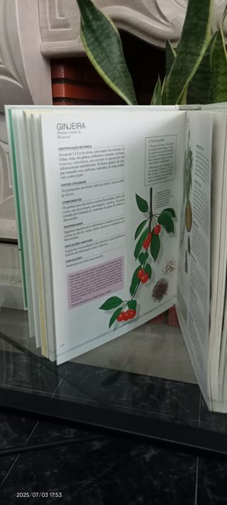 Guia Pratico de Remédios e Tratamentos Naturais