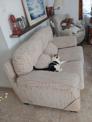 Sofá 2 plazas beige cómodo