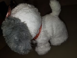 Present Pets Fancy Cagnolina