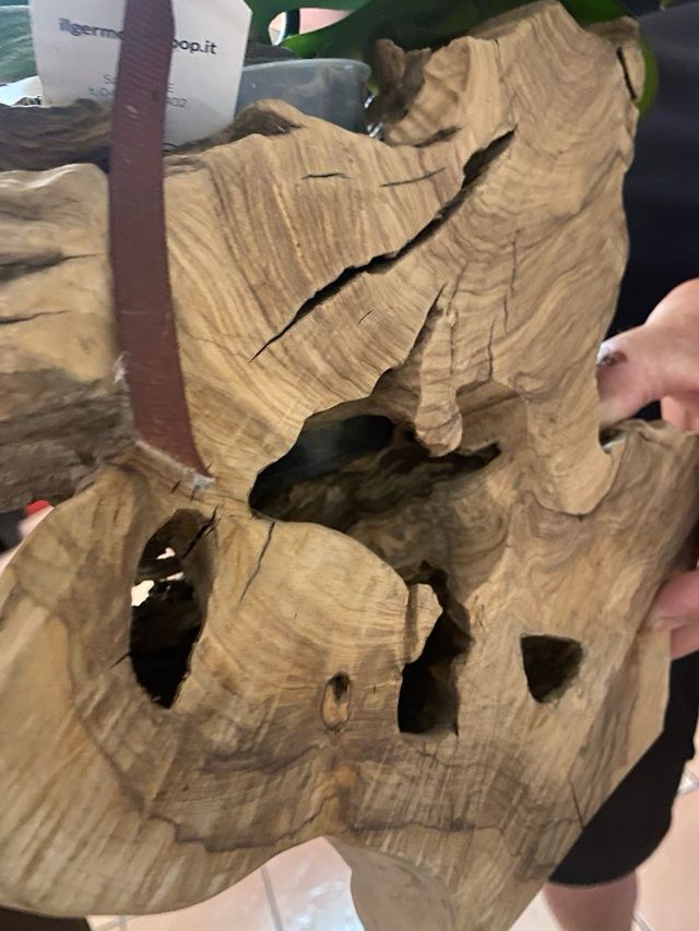 Portavaso in legno d'ulivo