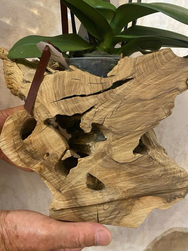 Portavaso in legno d'ulivo