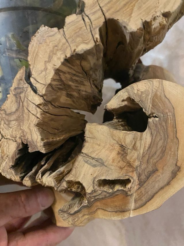 Portavaso in legno d'ulivo