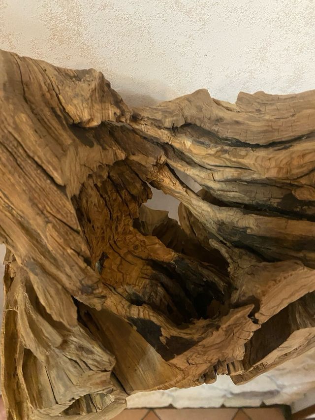 Portavaso in legno d'ulivo